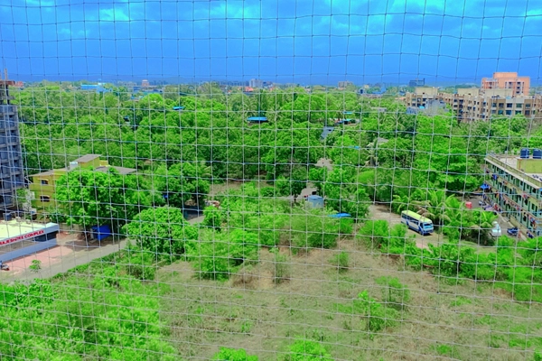 Bird net solution installation Gurugram