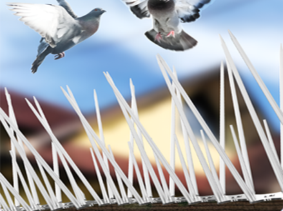 Bird Spikes Installed by AS Enterprises in Vapi