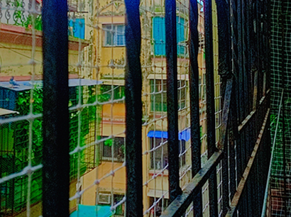 Residential Bird Net Installation for Society in Vapi by AS Enterprises