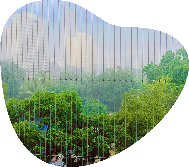 Custom Industrial Pigeon Nets for Large Spaces | AS Enterprises	Solution | 8051800912 | Vapi, Mumbai