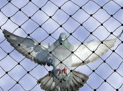 Top-Quality Invisible Grills, Bird Nets, and More - Expert Installation by AS Enterprises Solution in Vapi, Silvassa, Valsad, Gujarat, and Mumbai! Call Now: 8051800912