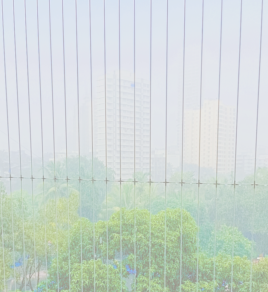 Custom Industrial Bird Nets for Large Spaces | AS Enterprises Solution | 8051800912 | Vapi, Silvassa, Mumbai