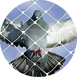 Tear-Resistant UV Protection Shields | Long-Lasting & Durable | AS Enterprises Solution | 8051800912 | Vapi, Mumbai